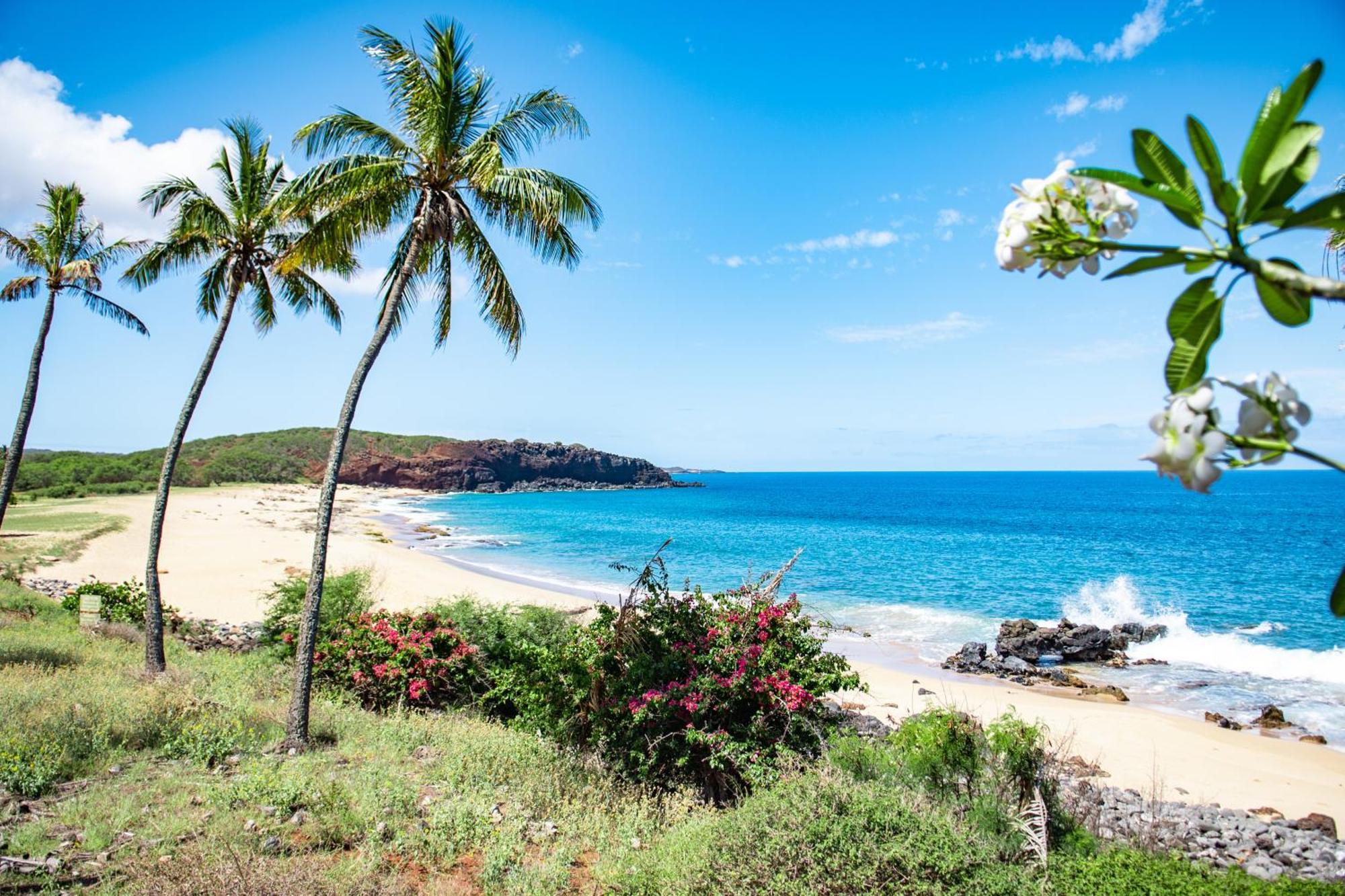 Kepuhi Beach Resort Maunaloa Bilik gambar
