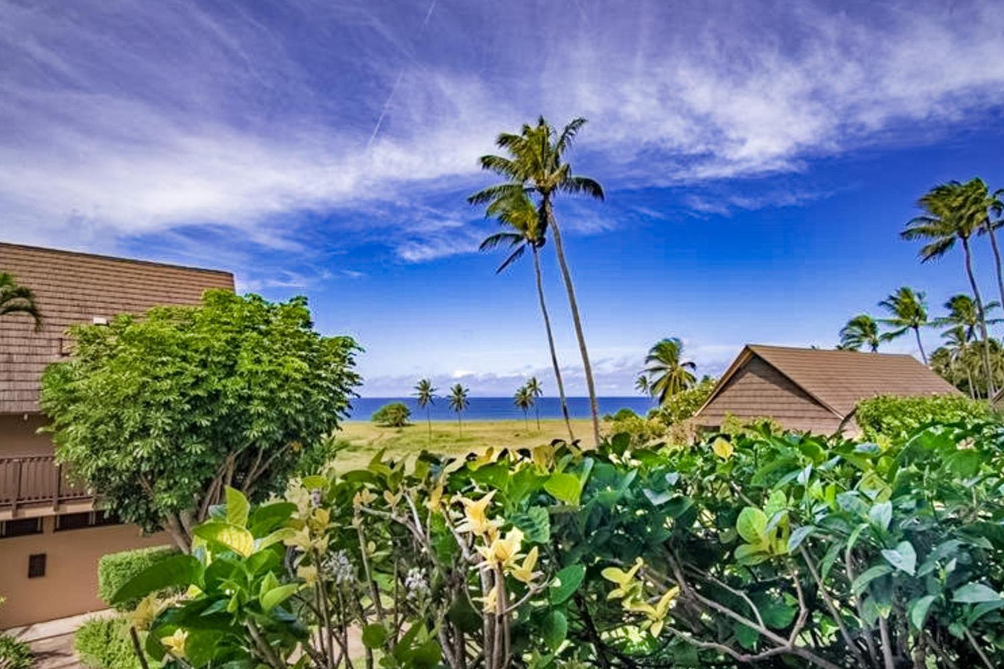 Kepuhi Beach Resort Maunaloa Bilik gambar